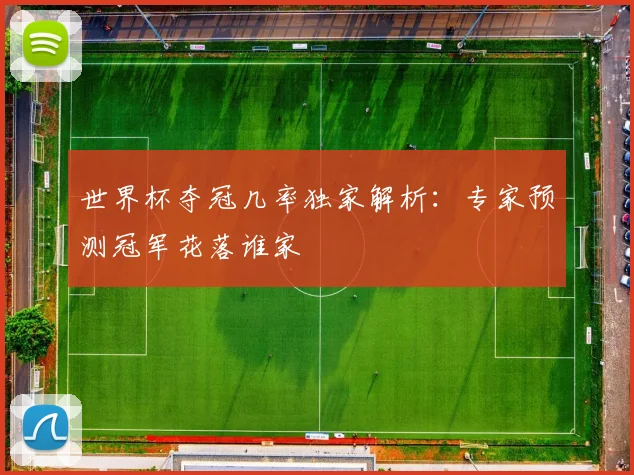 世界杯夺冠几率独家解析：专家预测冠军花落谁家