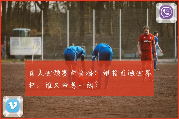 南美世预赛积分榜：谁将直通世界杯，谁又命悬一线？
