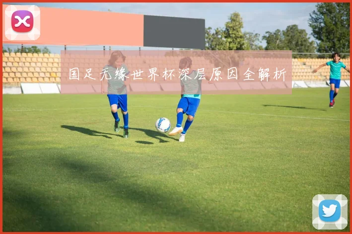 国足无缘世界杯深层原因全解析