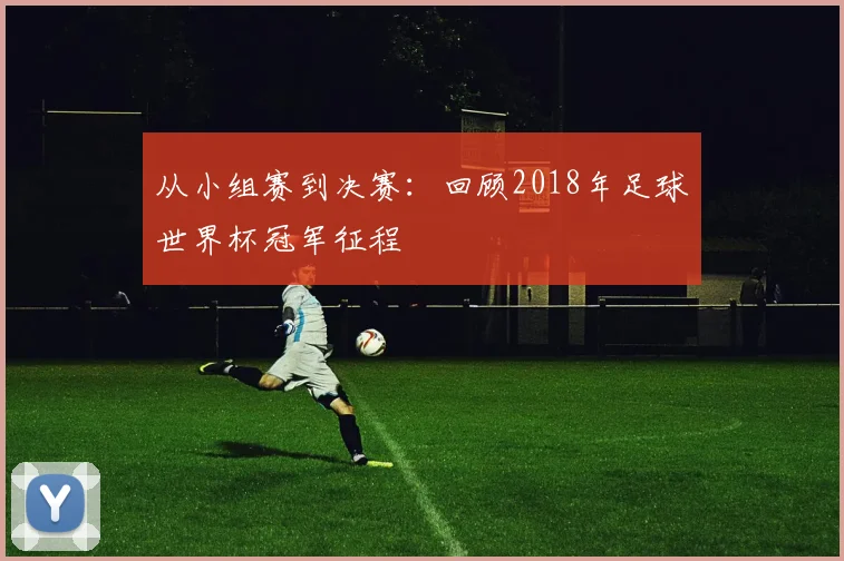 从小组赛到决赛：回顾2018年足球世界杯冠军征程