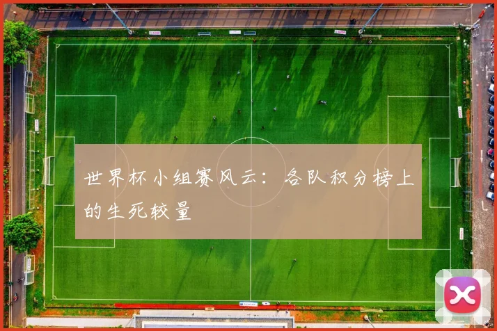 世界杯小组赛风云：各队积分榜上的生死较量