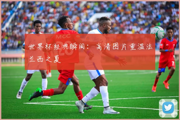 世界杯经典瞬间：高清图片重温法兰西之夏