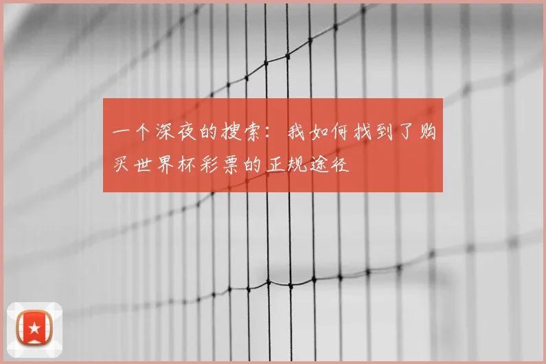 一个深夜的搜索:我如何找到了购买世界杯彩票的正规途径