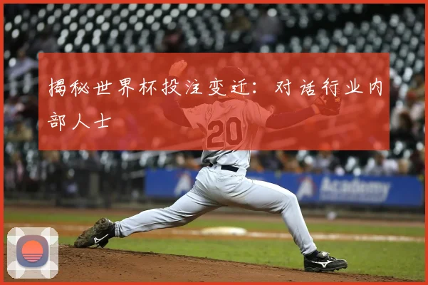 揭秘世界杯投注变迁：对话行业内部人士