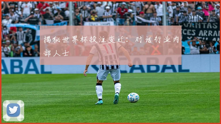 揭秘世界杯投注变迁：对话行业内部人士