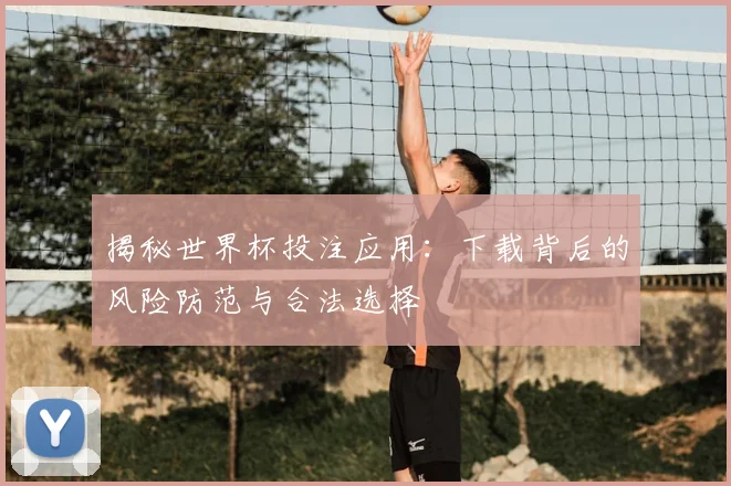 揭秘世界杯投注应用：下载背后的风险防范与合法选择