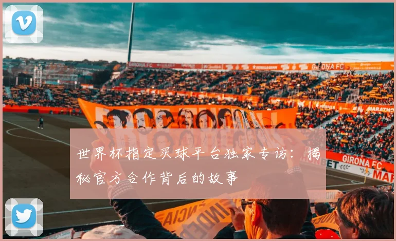 世界杯指定买球平台独家专访:揭秘官方合作背后的故事