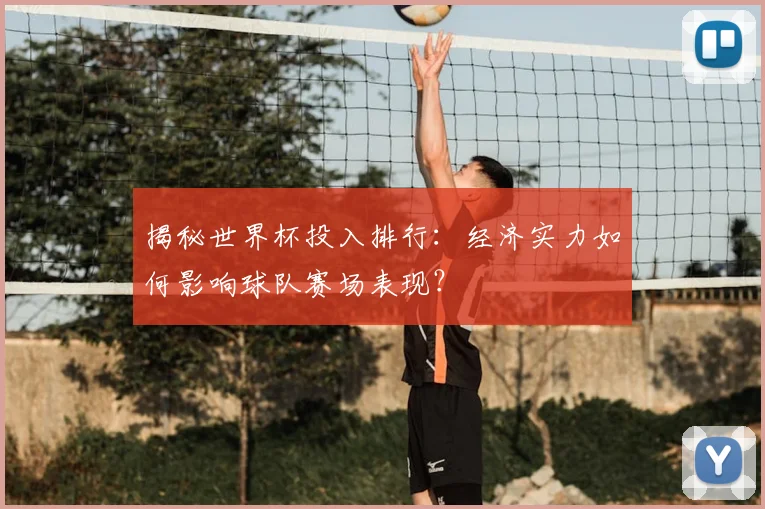 揭秘世界杯投入排行：经济实力如何影响球队赛场表现？