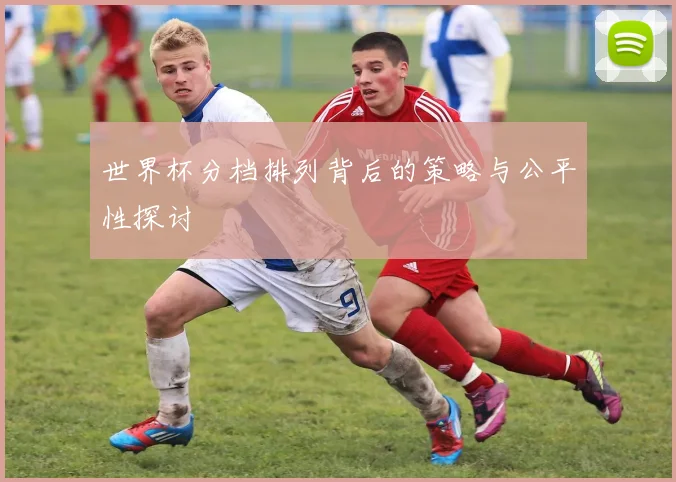 世界杯分档排列背后的策略与公平性探讨