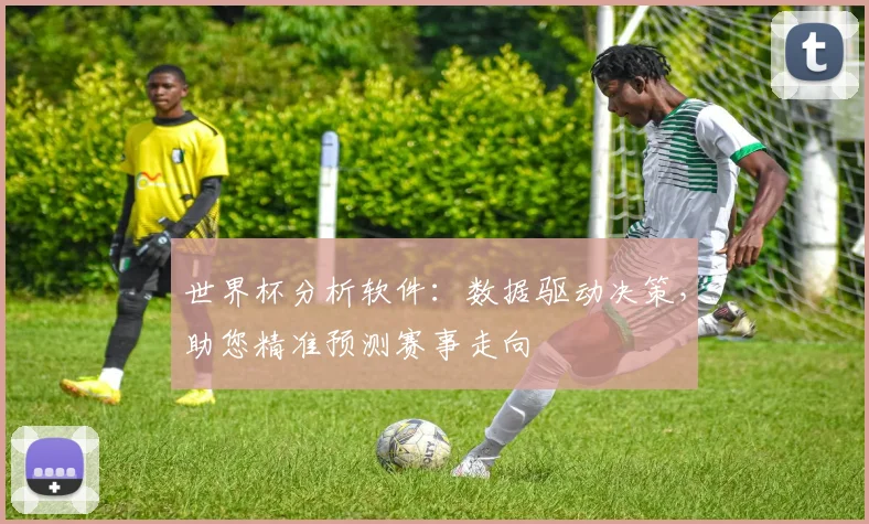 世界杯分析软件：数据驱动决策，助您精准预测赛事走向