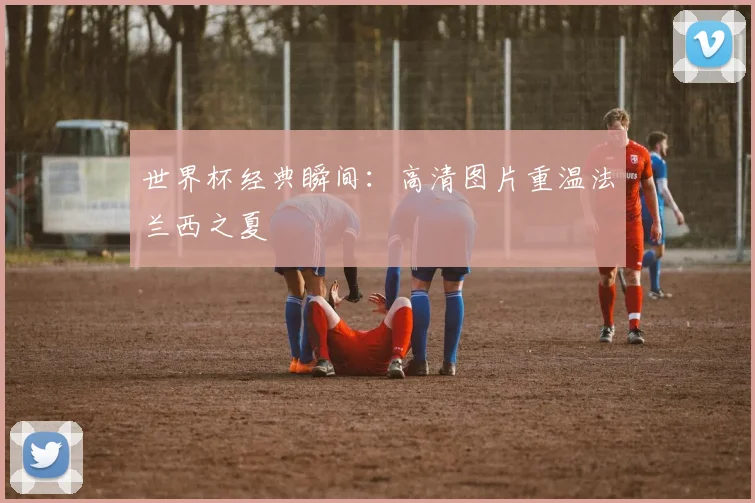 世界杯经典瞬间：高清图片重温法兰西之夏