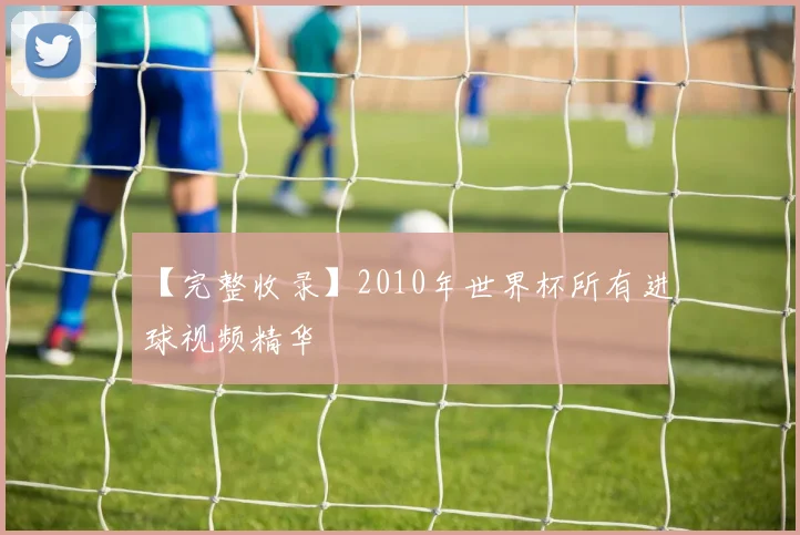 【完整收录】2010年世界杯所有进球视频精华